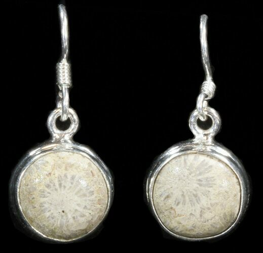 Beautiful Fossil Coral Sunburst Earrings - Sterling Silver #41223